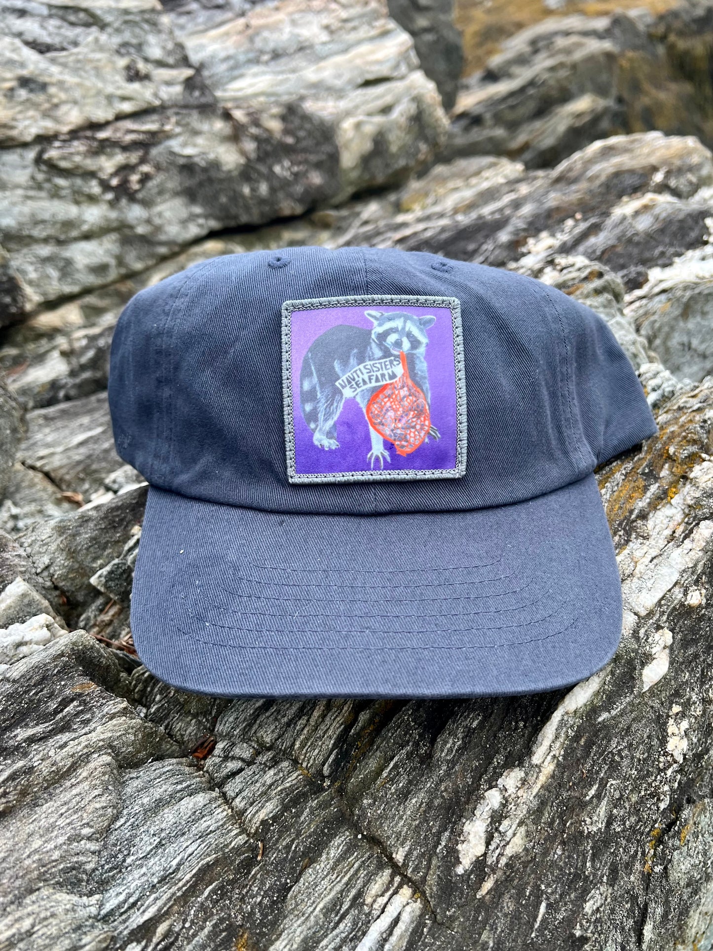 Navy Baseball hat