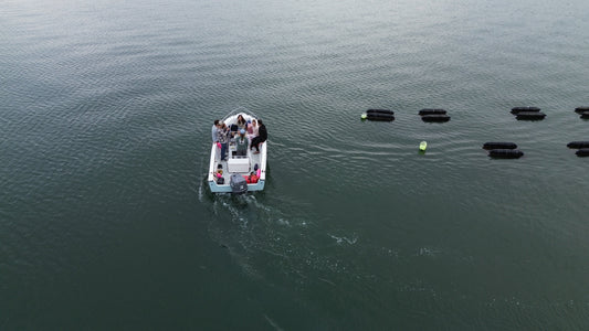 Nauti Sisters Sea Farm: A Hidden Gem in Yarmouth, Maine